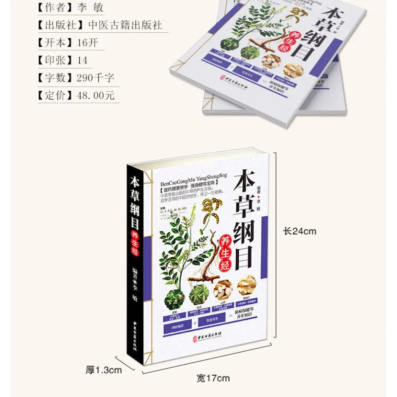 Holistic guide to wellness 