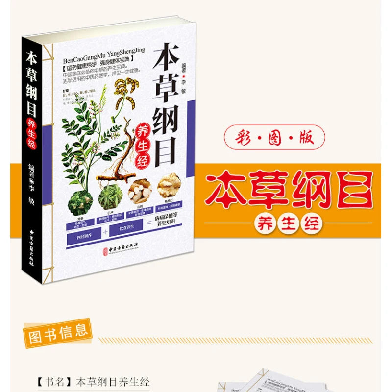 Holistic guide to wellness 