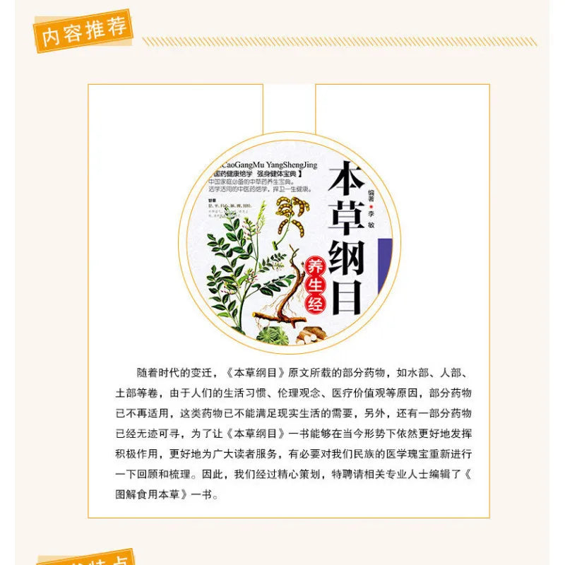 Holistic guide to wellness 